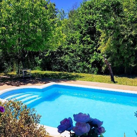 Studio Dans La Villa Les Cigales Lezignan-Corbieres Bagian luar foto